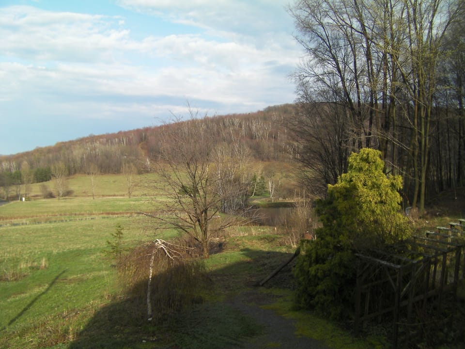 view from upstairs deck