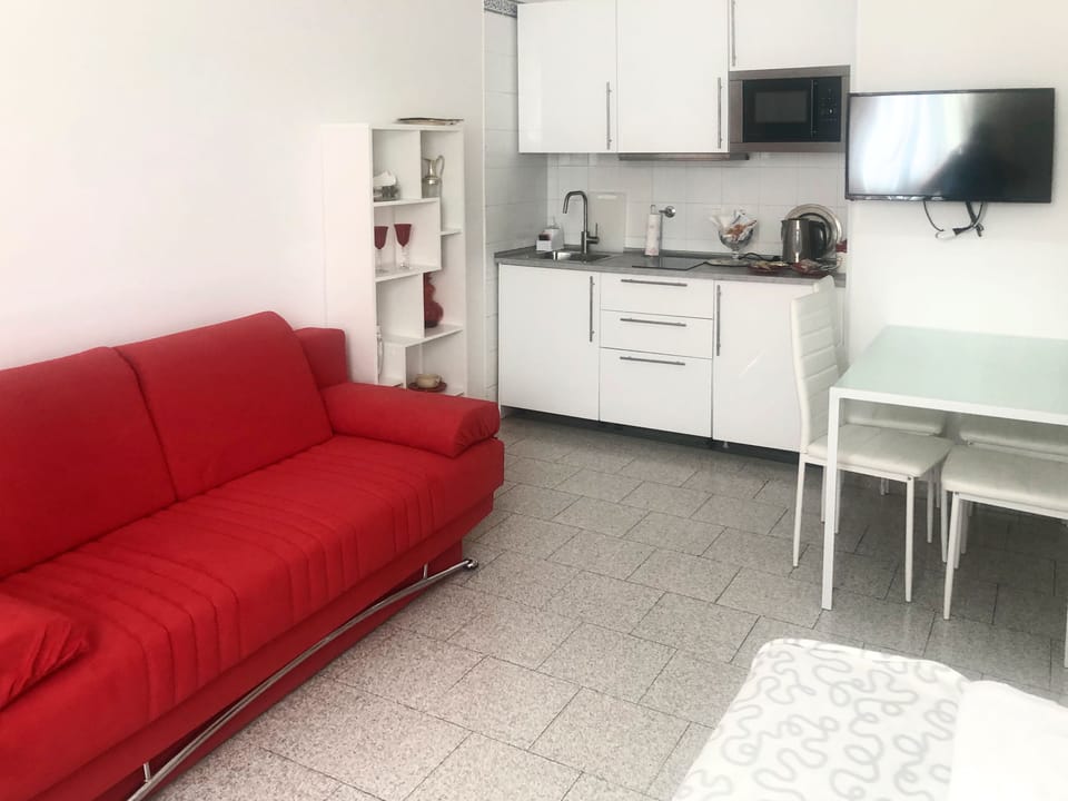 Apartment, 1 Queen Bed, Non Smoking | Living area | TV