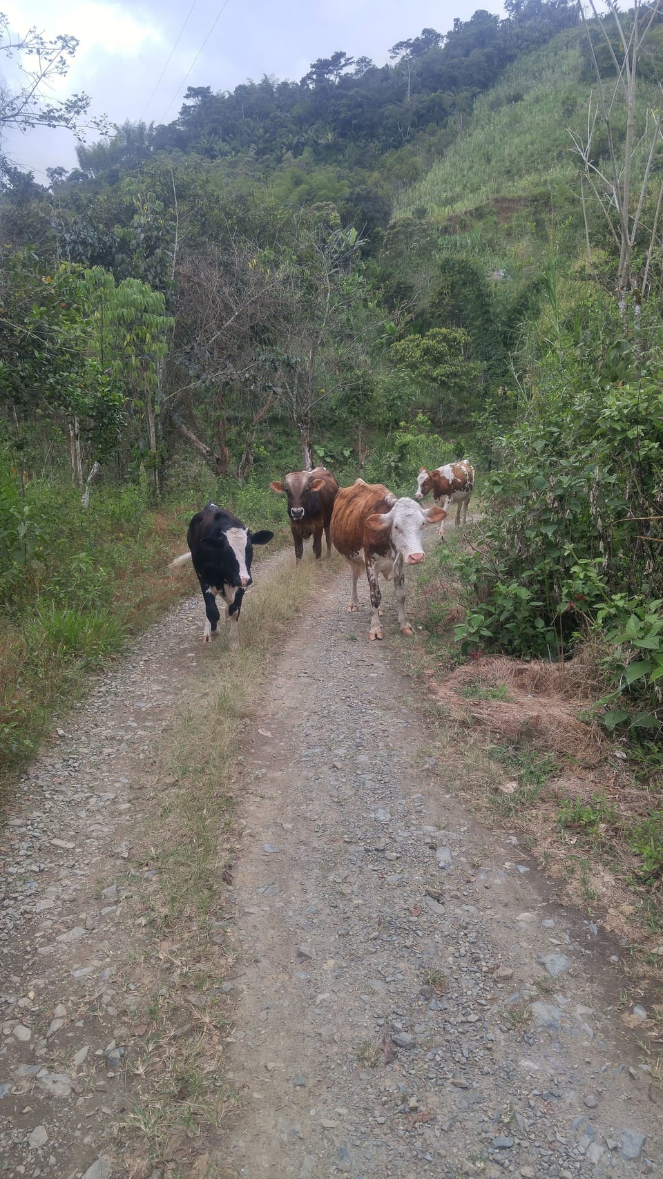 Ecotours