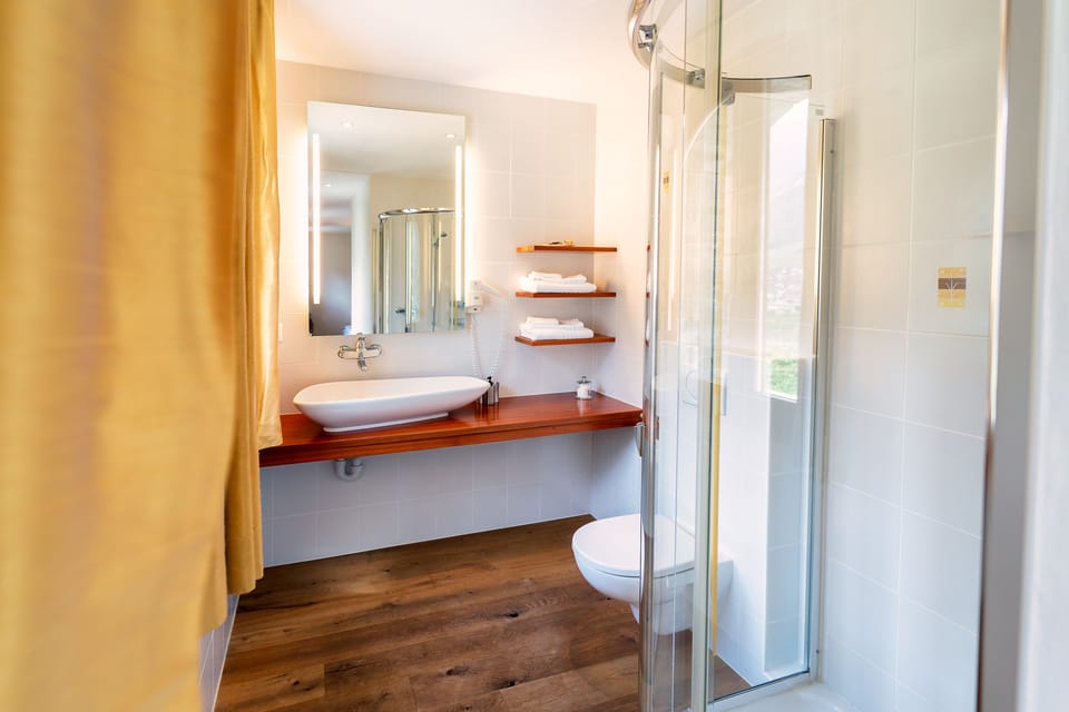 Executive Double Room | Bathroom | Free toiletries, hair dryer, towels