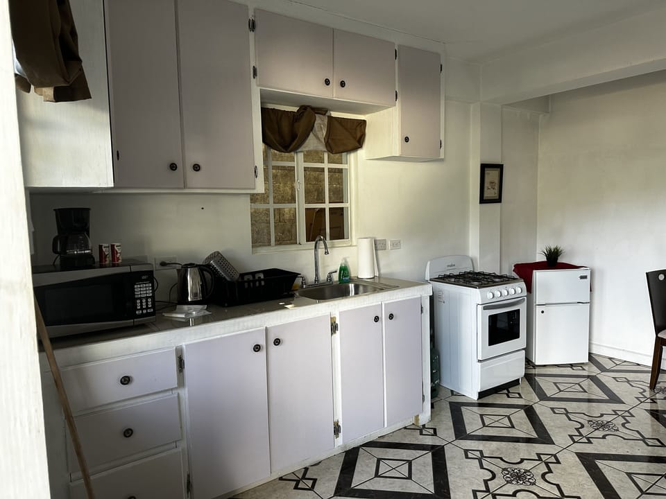 Kitchen/Living room new appliances. Fridge and Stove/oven.