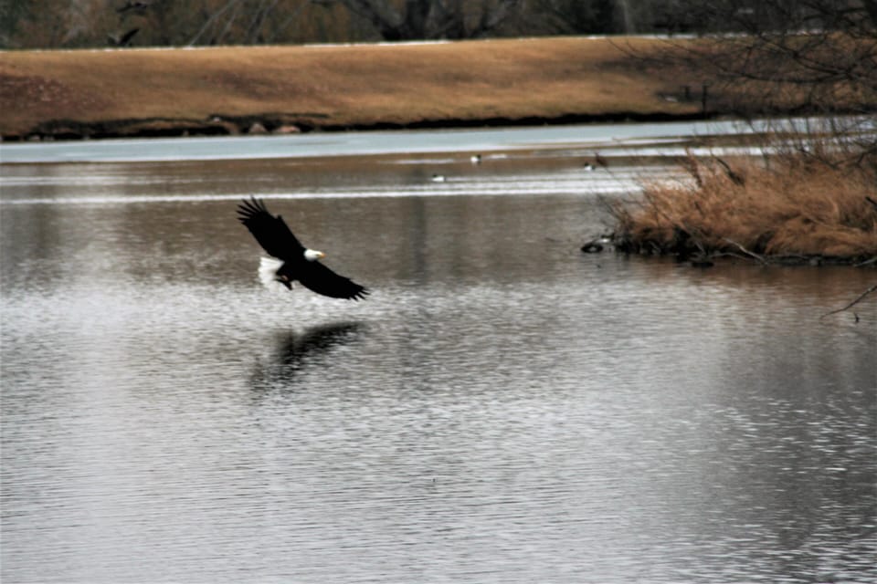 Lake area