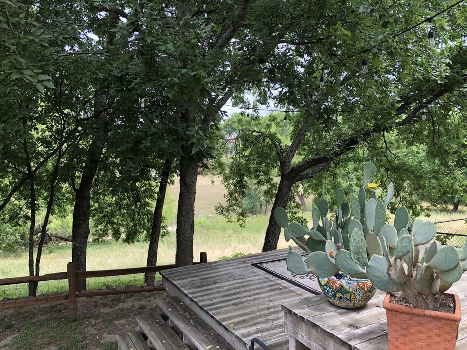 Frederick creek.. where the deer run