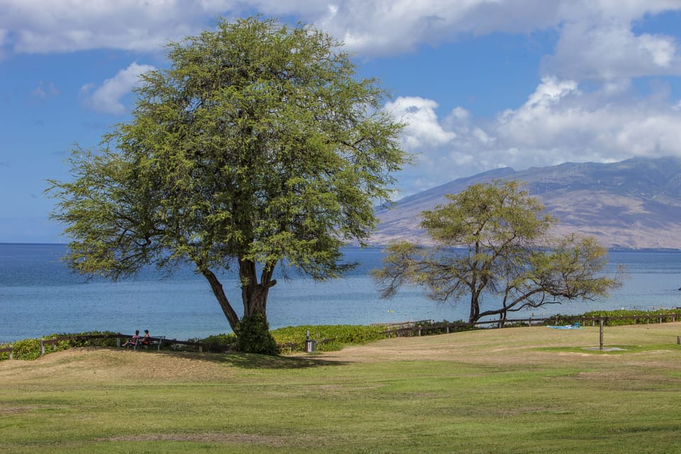 Kamaole Beach Park III - Kamaole Beach Park III