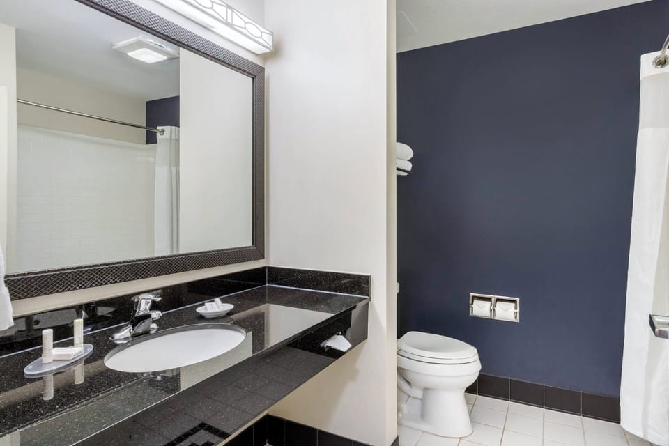 Combined shower/tub, free toiletries, hair dryer, towels