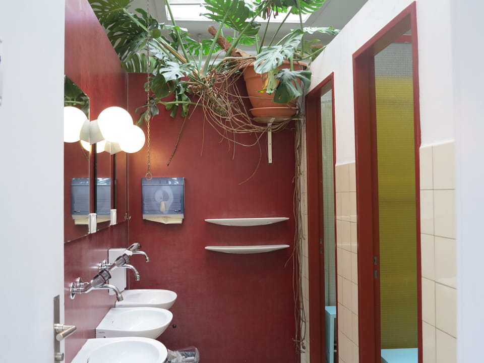 Shower, hair dryer