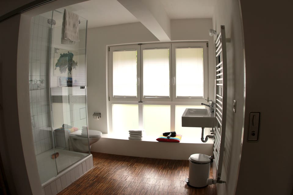 Shower, hair dryer