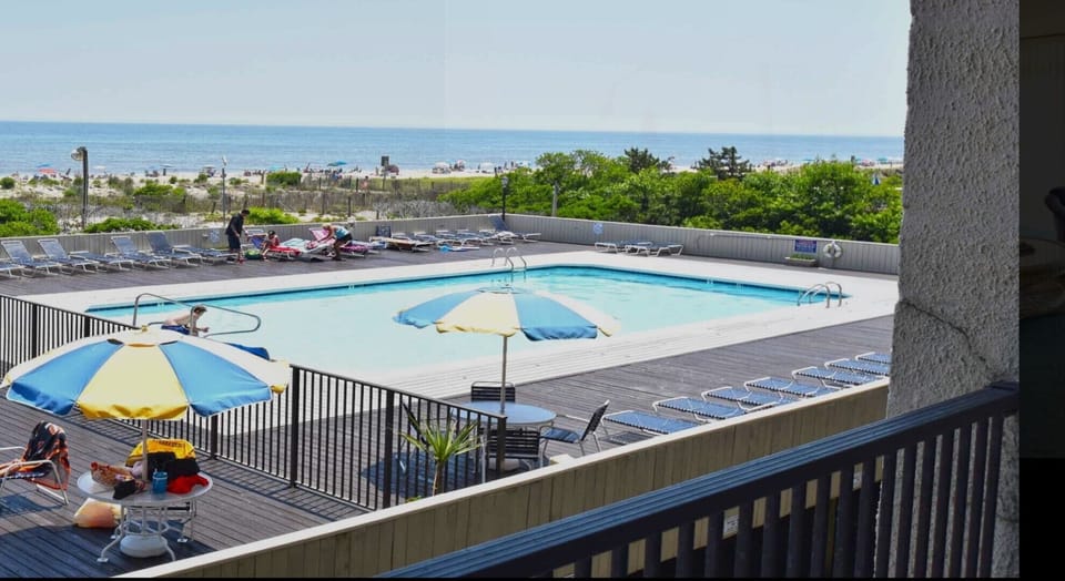 Large swimming pool off the beach with lounge chairs for everyone!