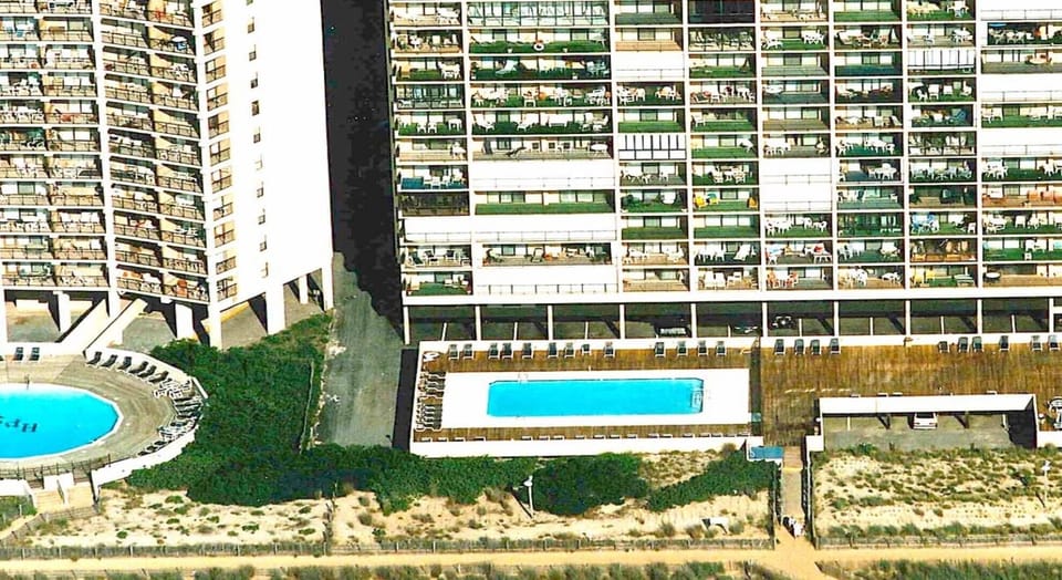 Ocean side view of pool and dunes