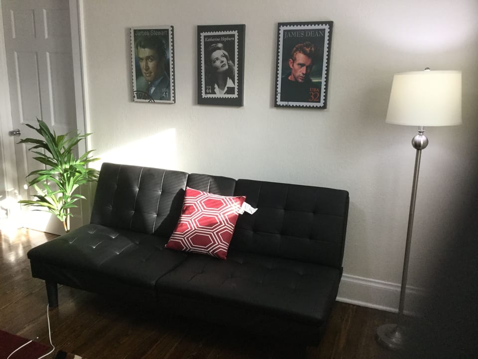 Comfy Living Room with New double Futon. 