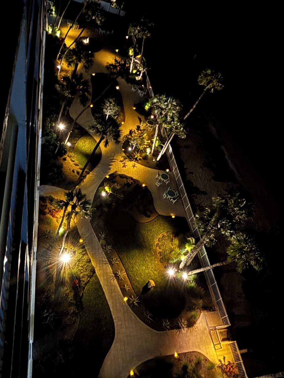 Garden at night with special lighting