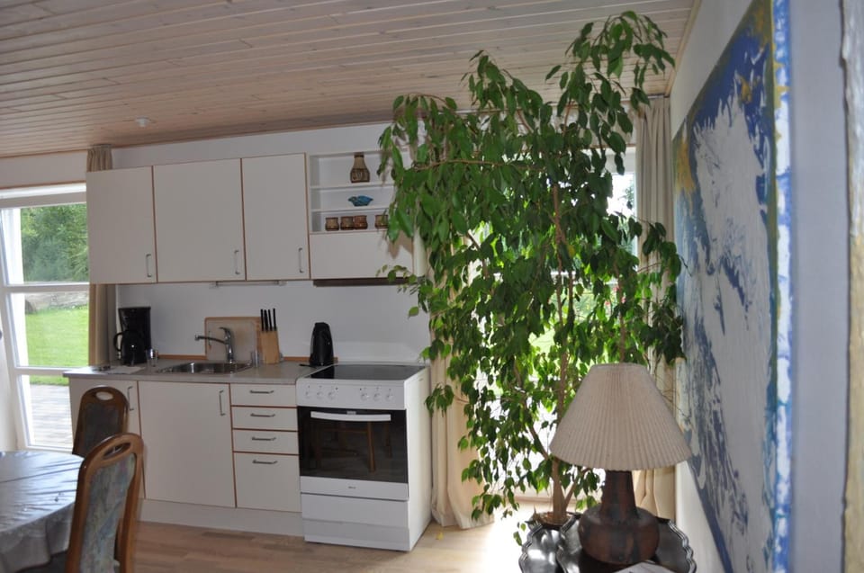 Full-size fridge, microwave, oven, stovetop