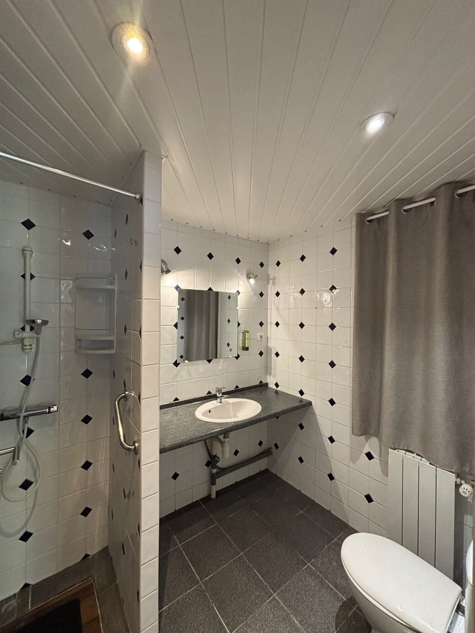Comfort House | Bathroom | Shower, hydromassage showerhead, free toiletries, hair dryer