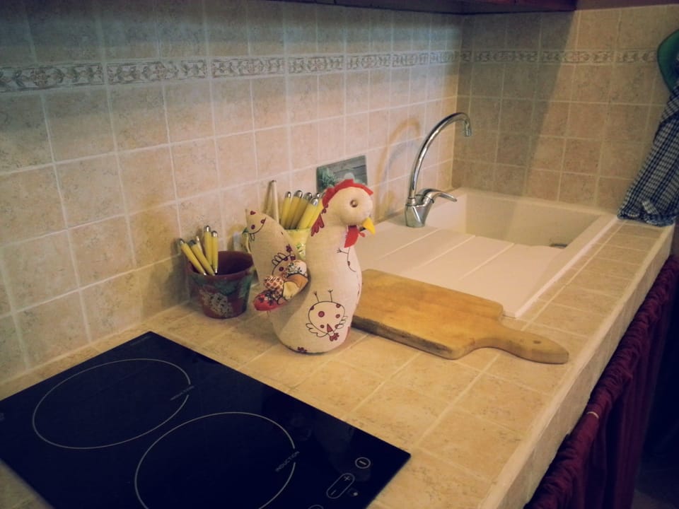 Studio, Hill View | Private kitchen | Full-size fridge, microwave, stovetop, espresso maker