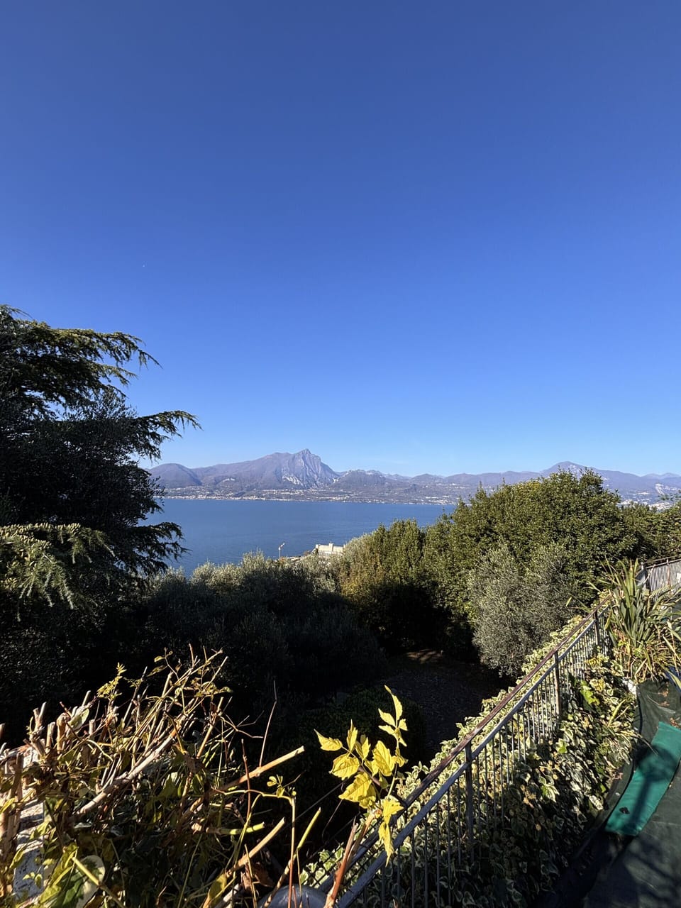 View from property