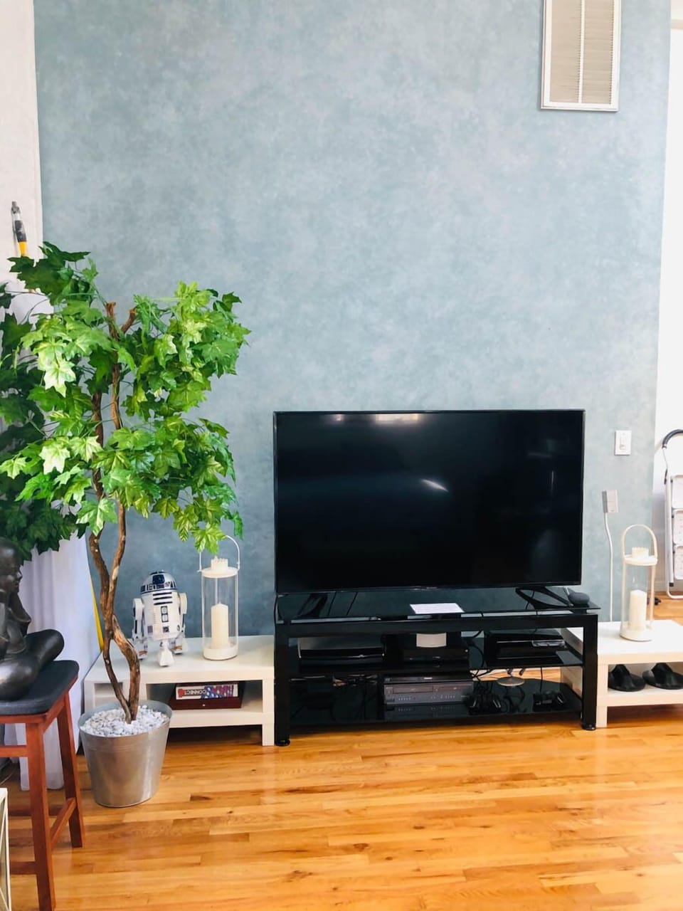 DOWNSTAIRS BEDROOM TV