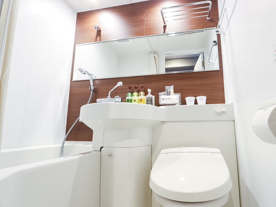 Combined shower/tub, hair dryer, slippers, electronic bidet