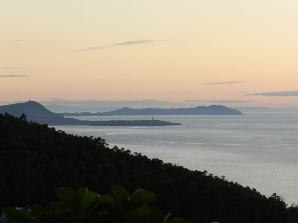 Twilight from the garden