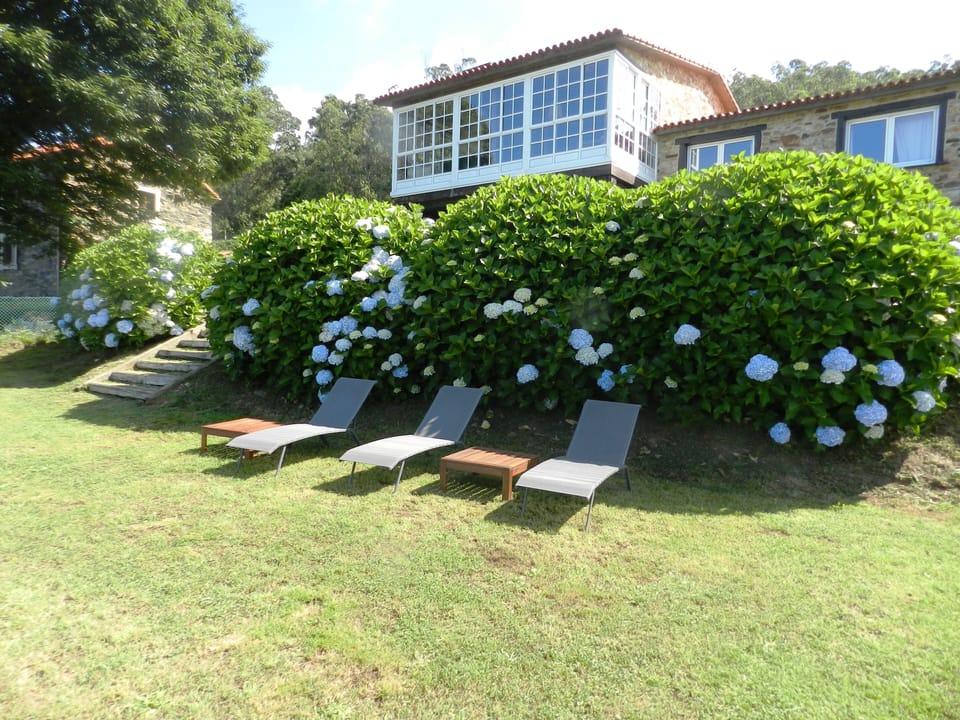 House from the garden