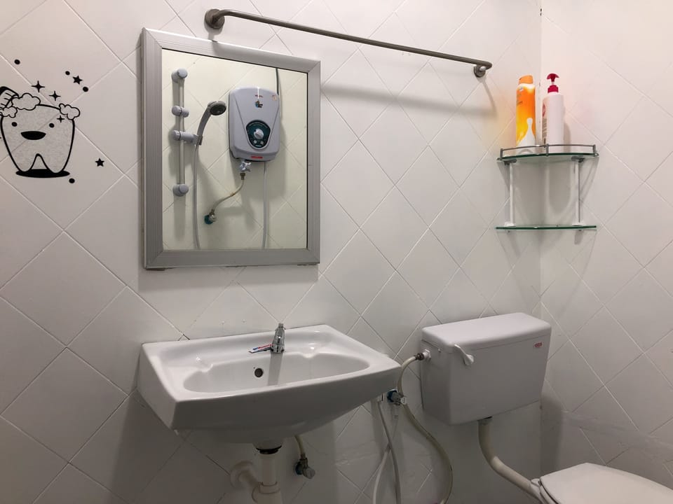 Shower, free toiletries, hair dryer, towels