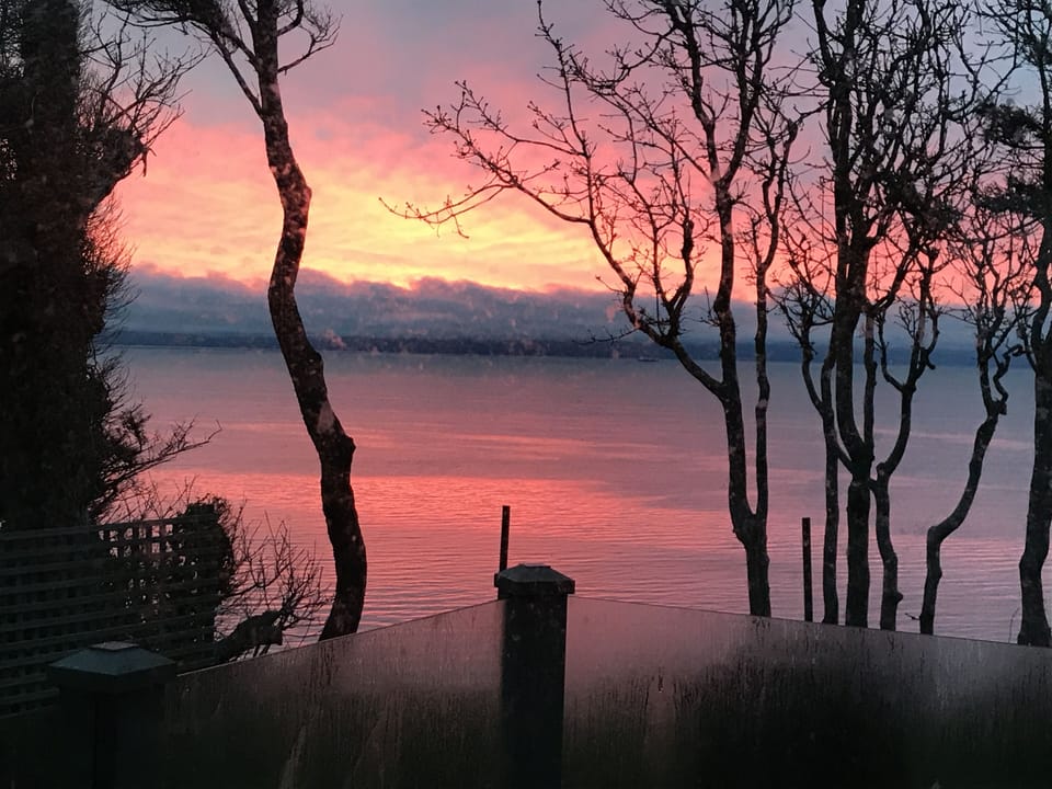 Sunrise from the kitchen window.