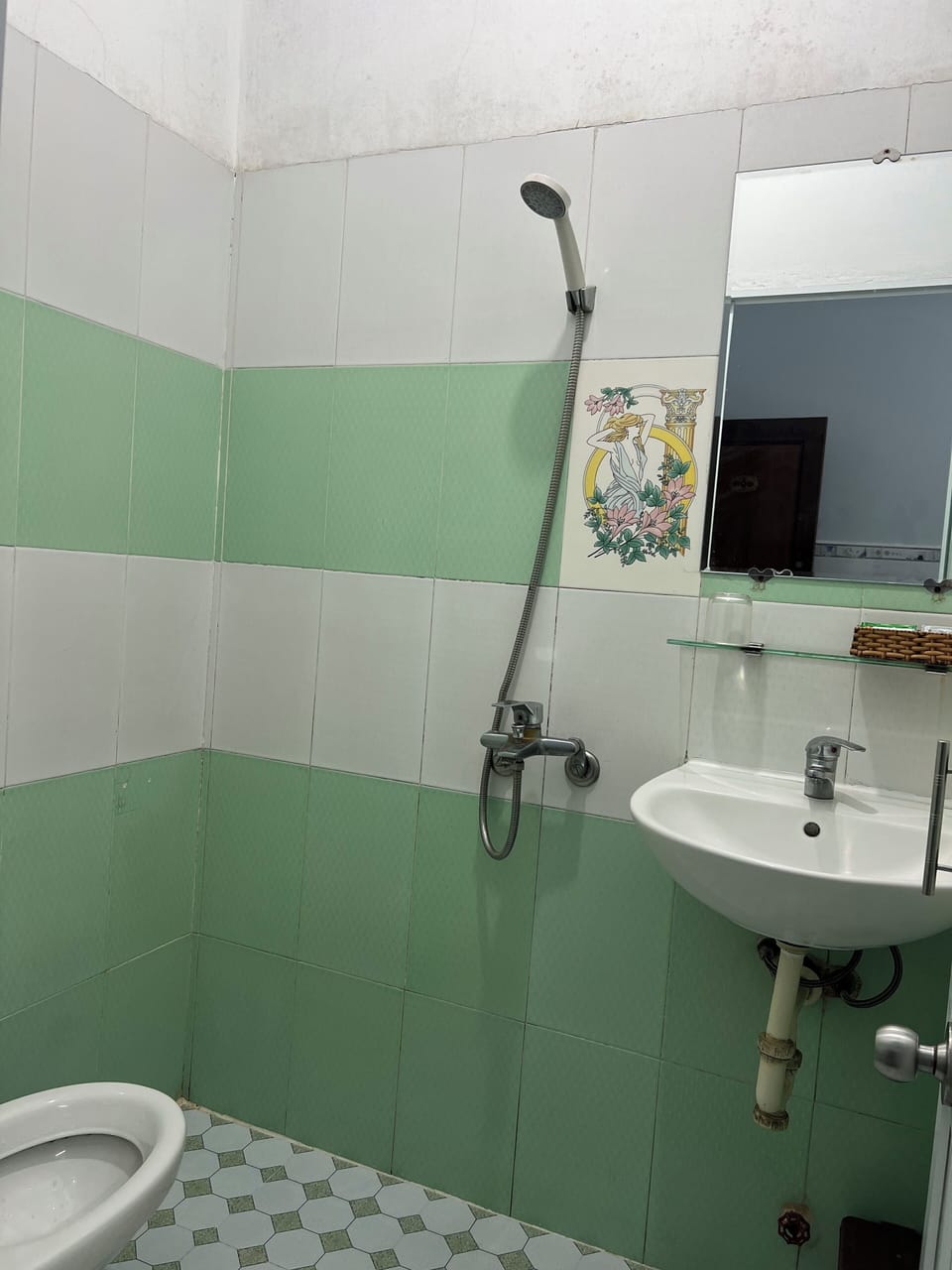 Shower, free toiletries, hair dryer (on request), slippers