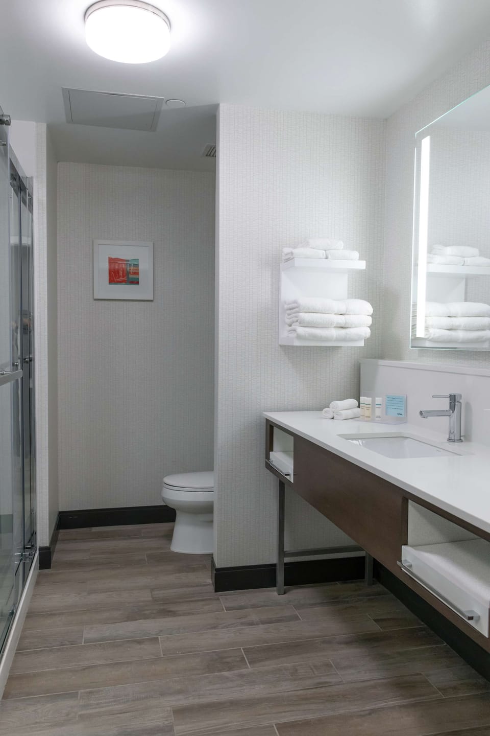 Bathroom shower