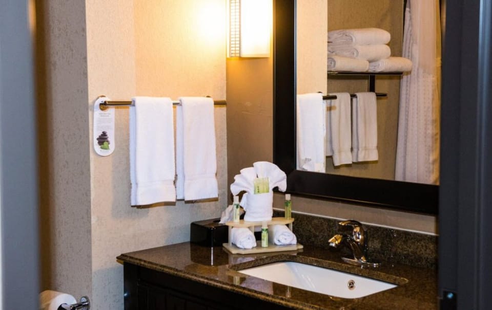 Combined shower/tub, free toiletries, hair dryer, towels