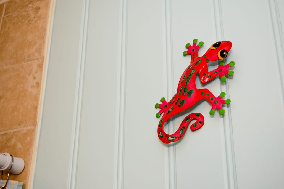 Our buddy, the Gecko