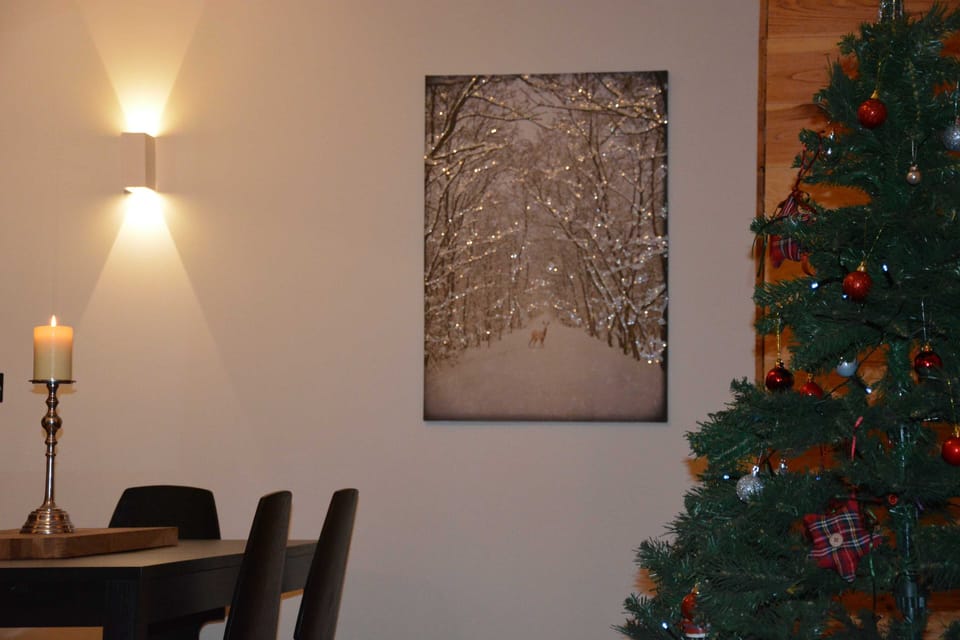 Christmas in the dinning area