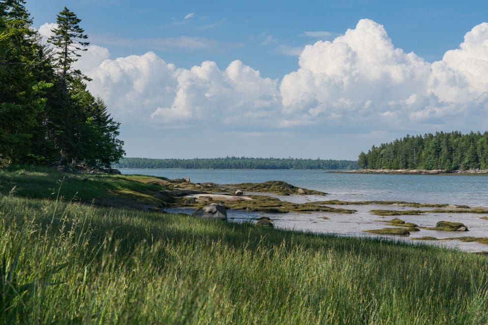 View up the Bay
