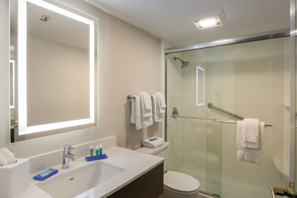 Combined shower/tub, eco-friendly toiletries, hair dryer, towels