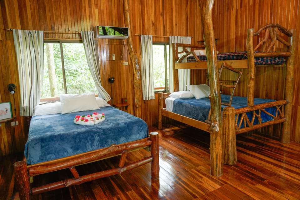 The Hummingbird Tree House  | Premium bedding, in-room safe, individually decorated