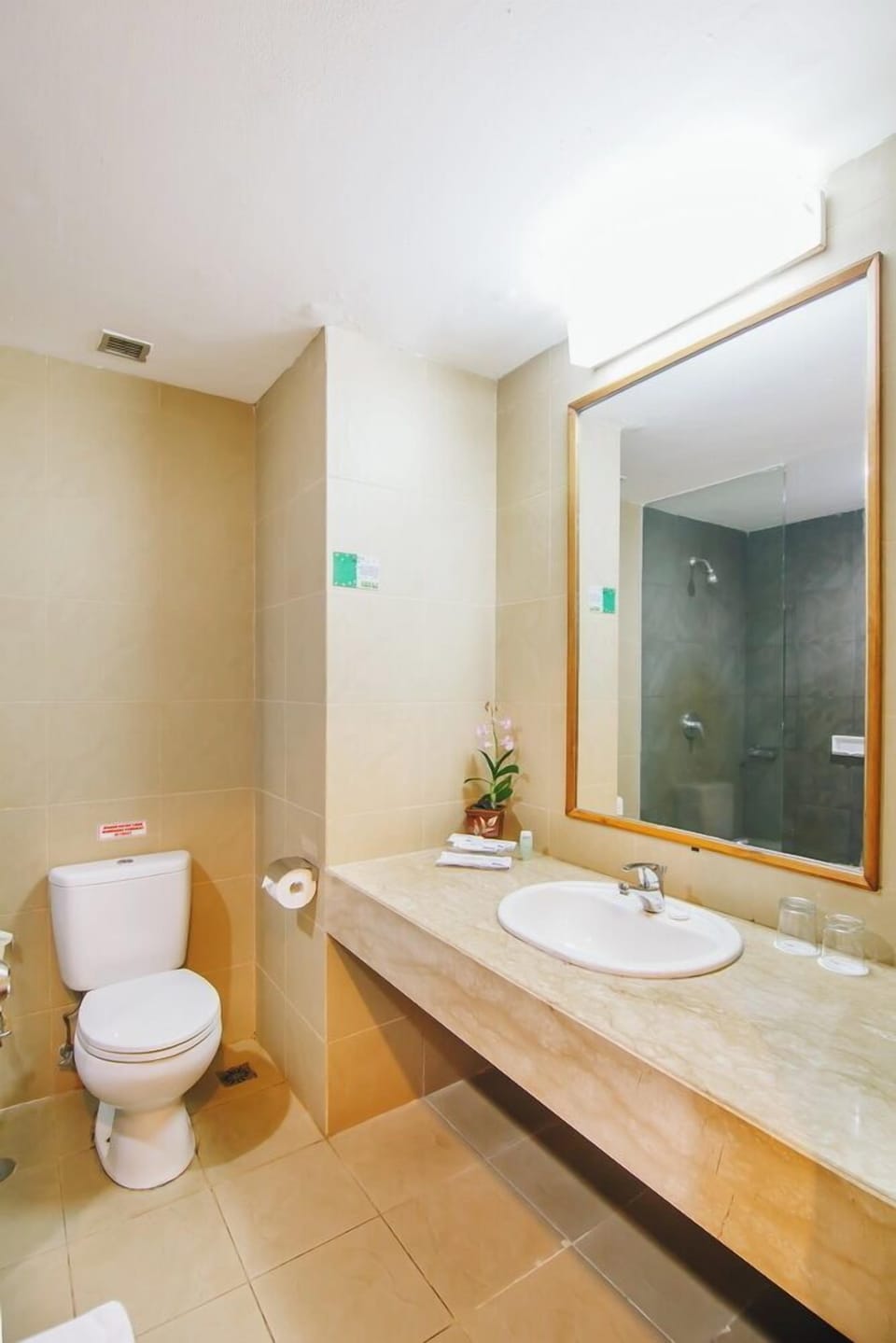 Shower, free toiletries, slippers, towels