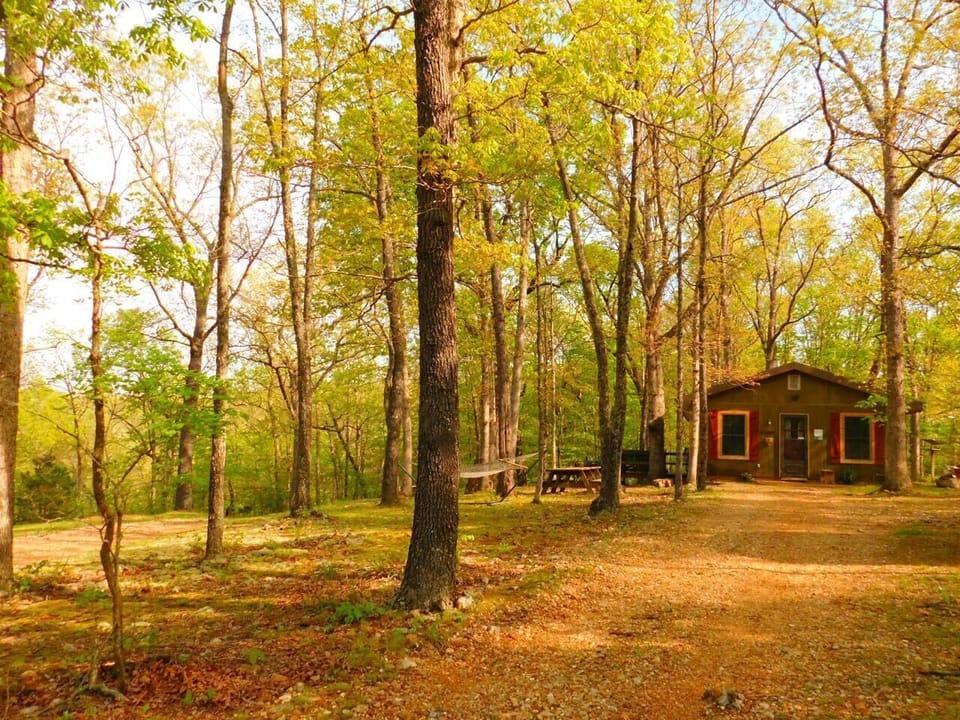 Turkey Ridge Cottage in the trees