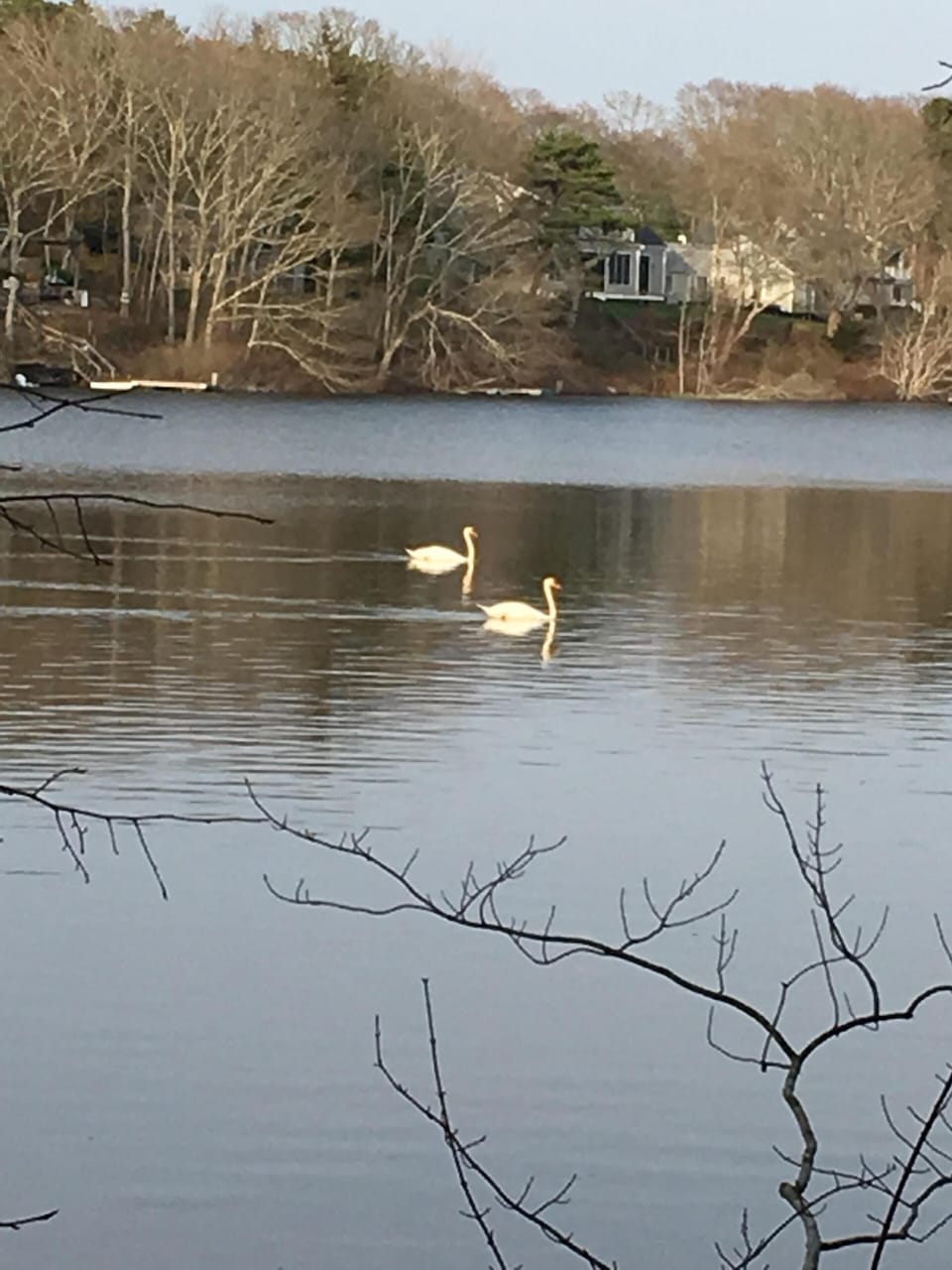 View during morning coffee 5.2018