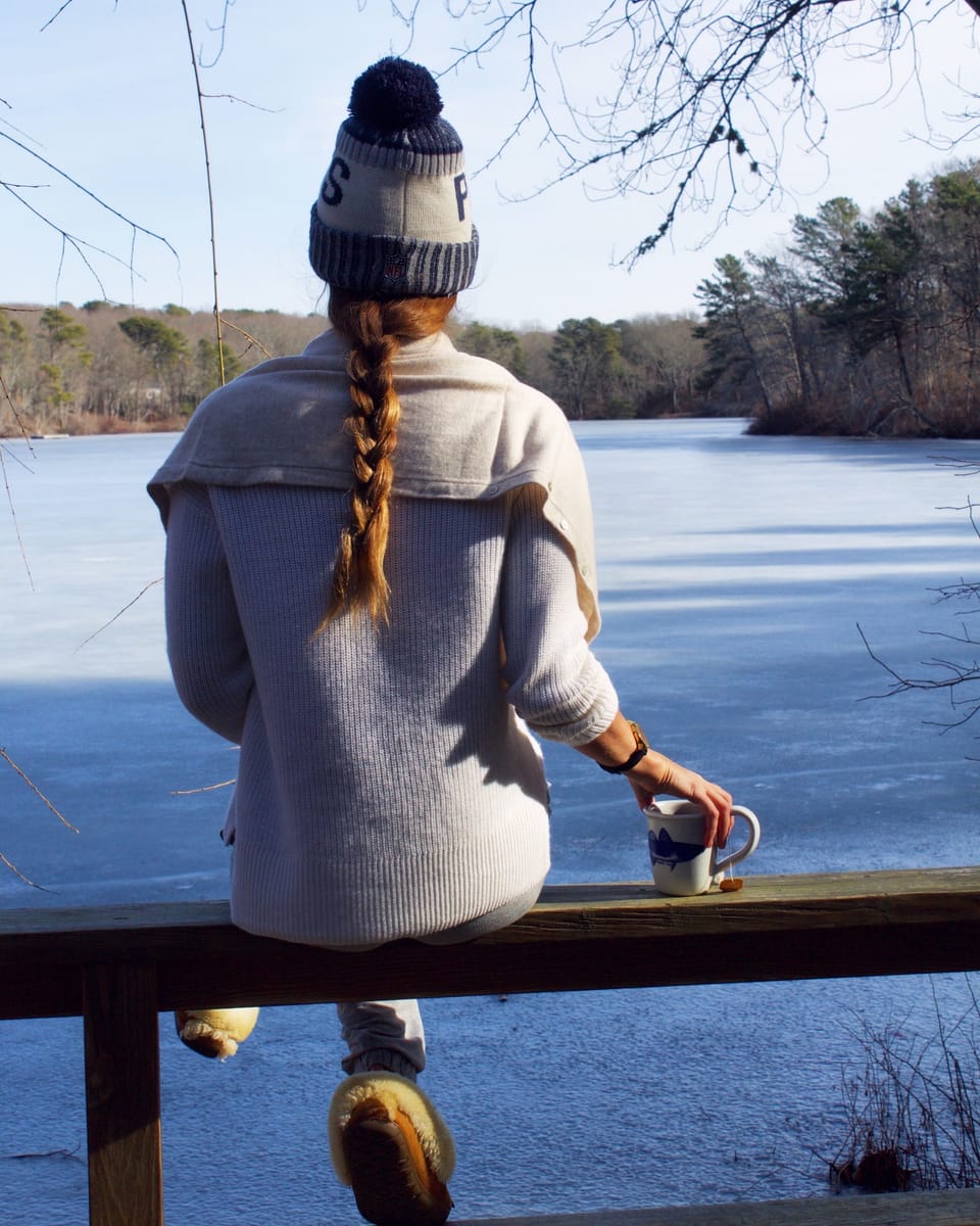 View of the pond one winter morning