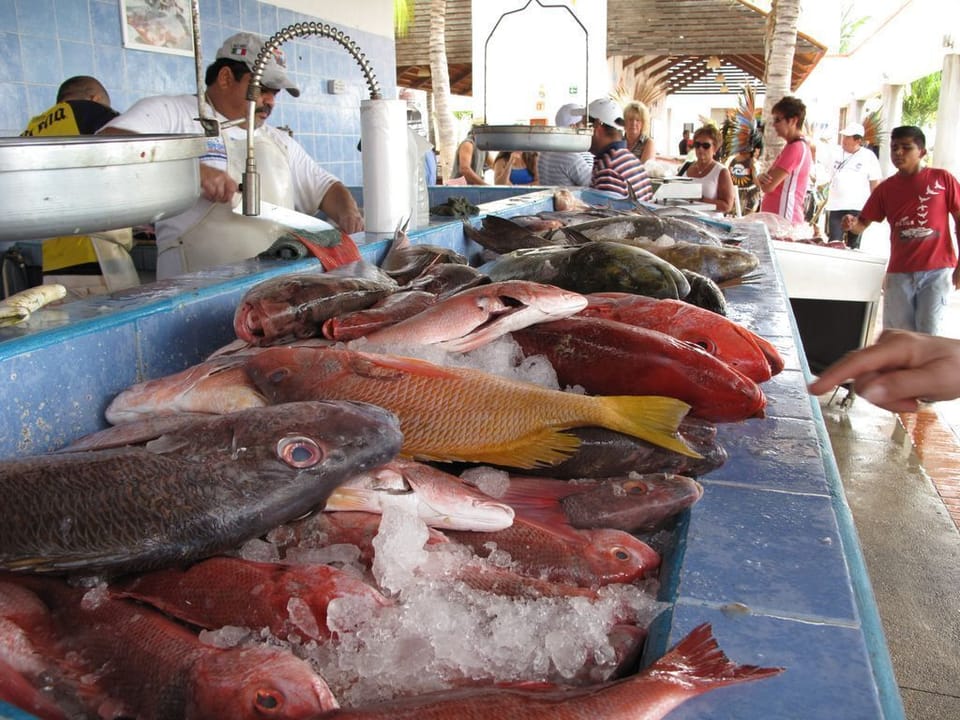 Fish market