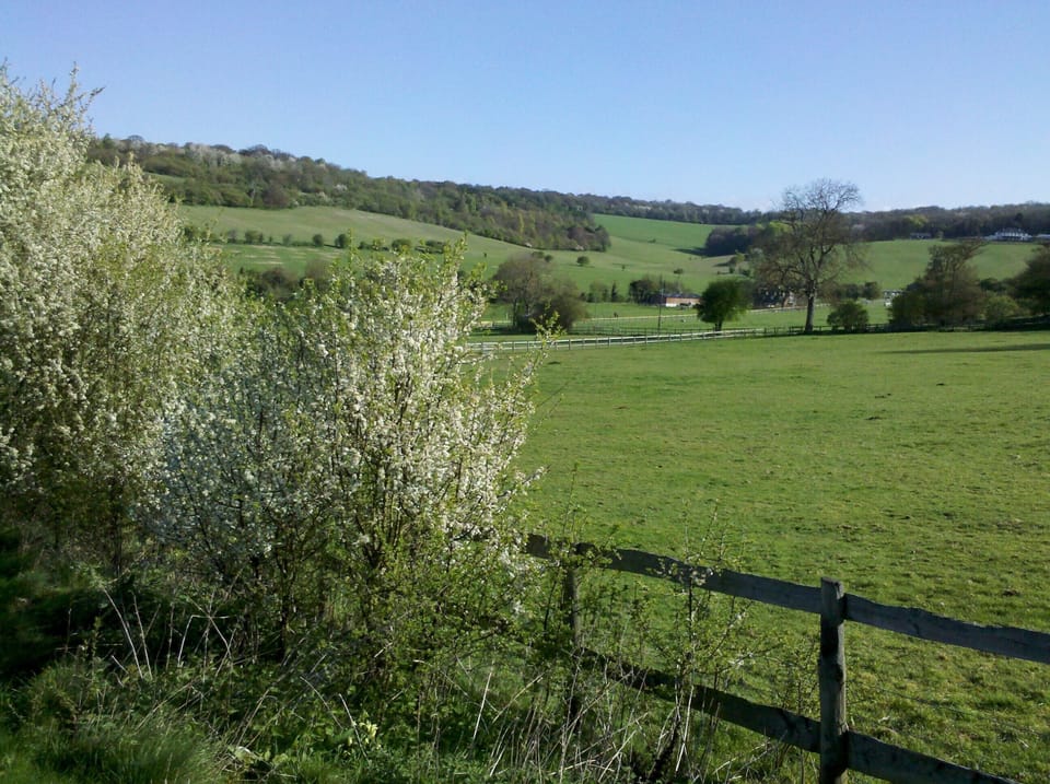 Wellplace Valley