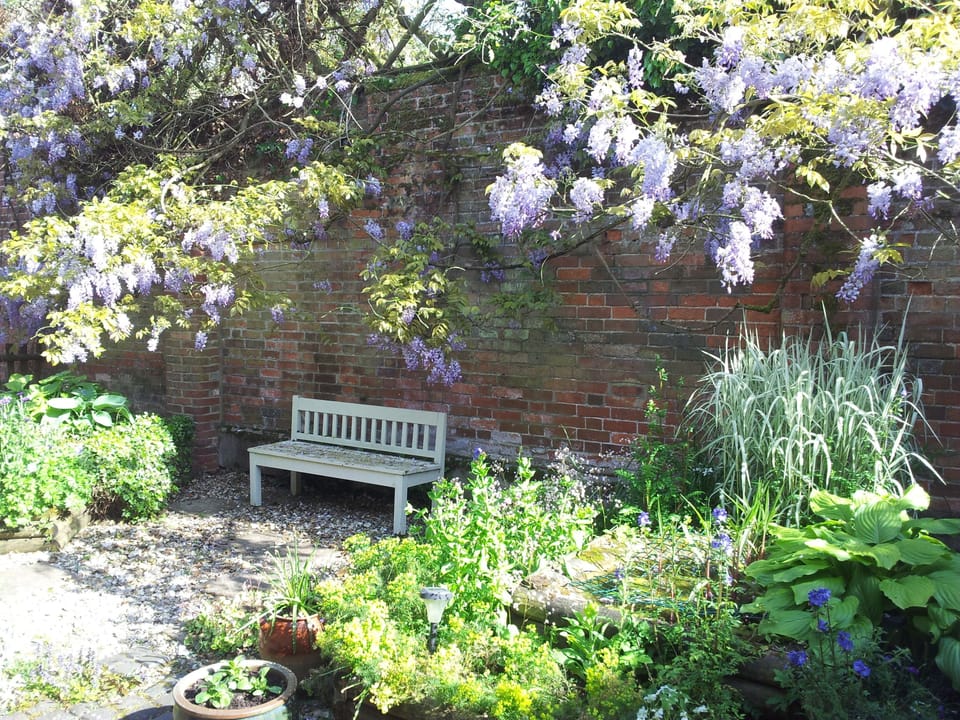 South facing courtyard garden
