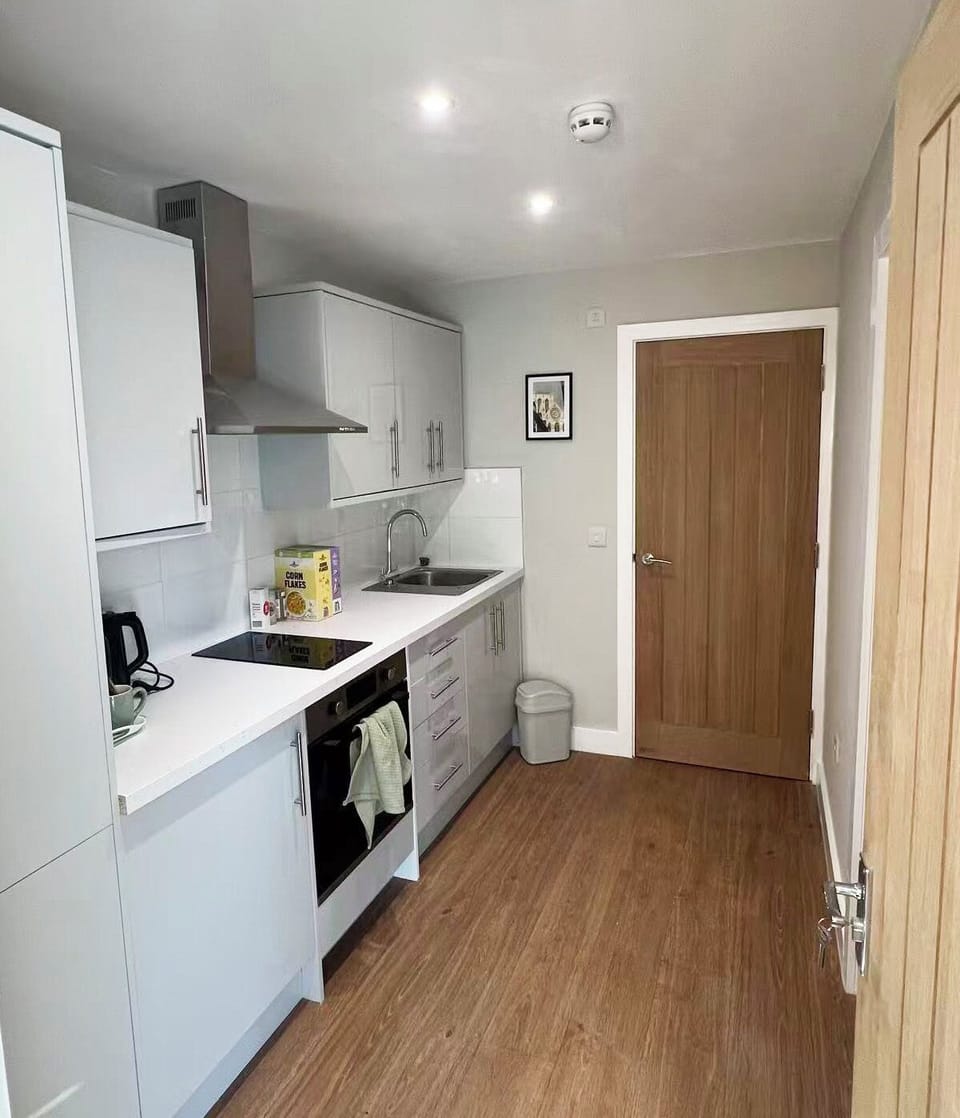 Apartment, 1 King Bed | Private kitchen | Oven, electric kettle, toaster, cookware/dishes/utensils