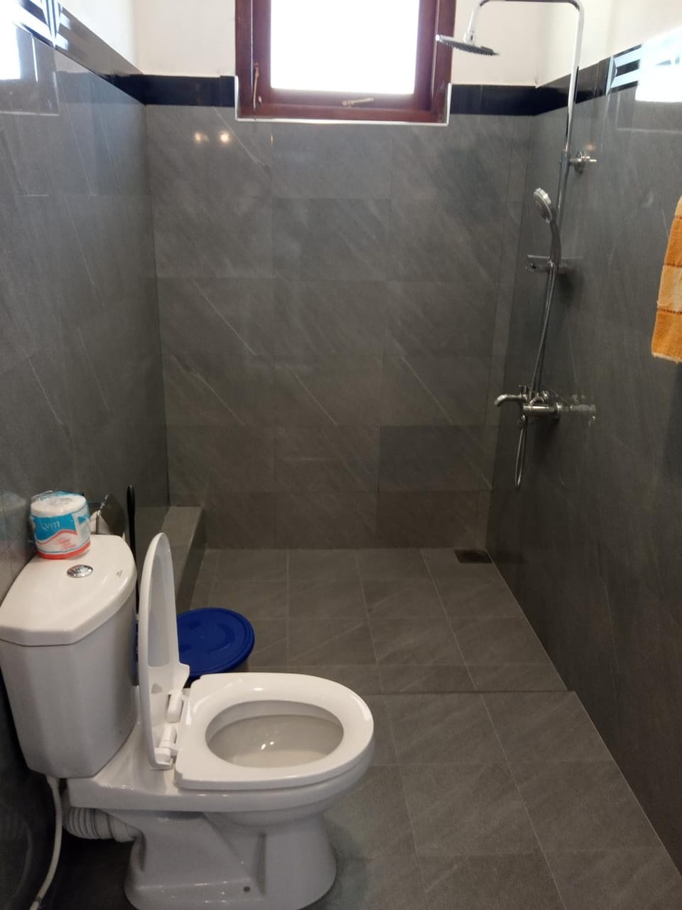 Shower, free toiletries, bidet, towels