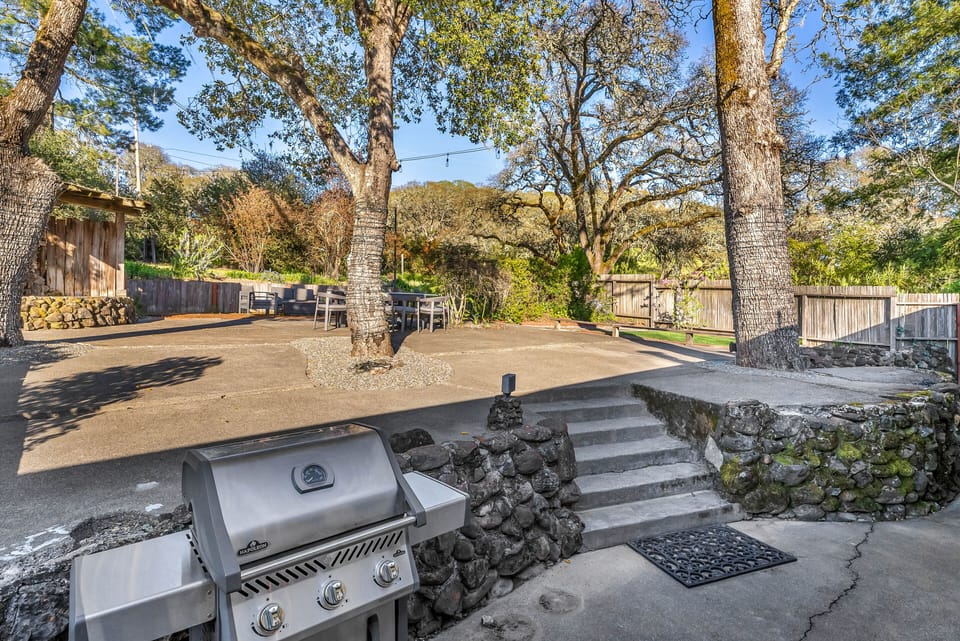 Back Patio | Gas Grill