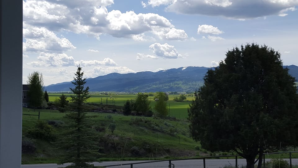 View from property