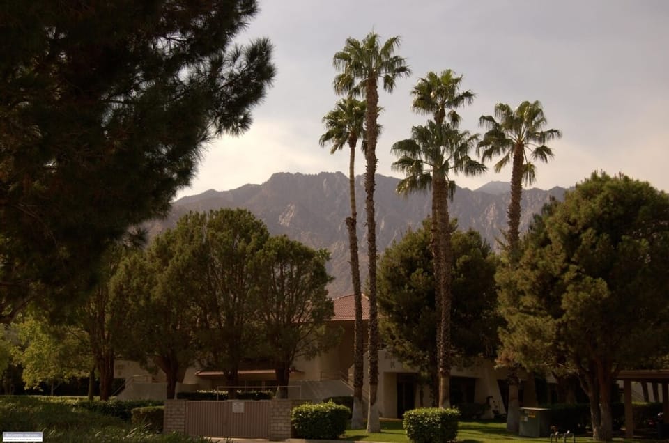 Palm Trees and San Jacinto Mountains.