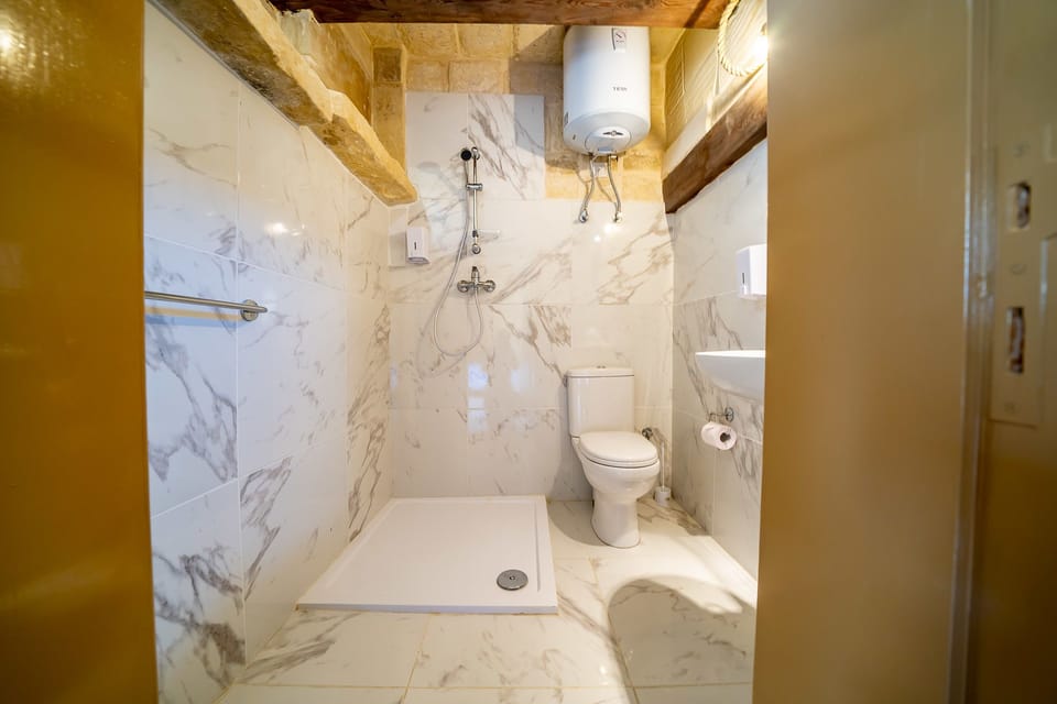 Economy Double Room, Terrace | Bathroom | Shower, towels, soap, shampoo
