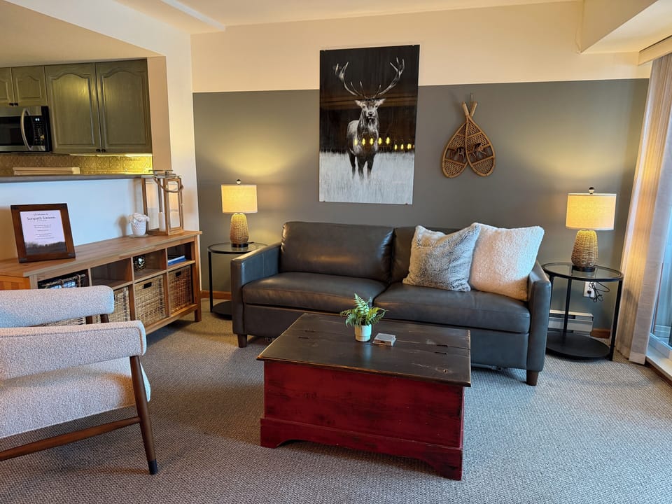 Living room with queen sofabed
