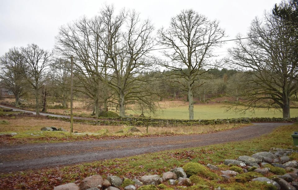 area