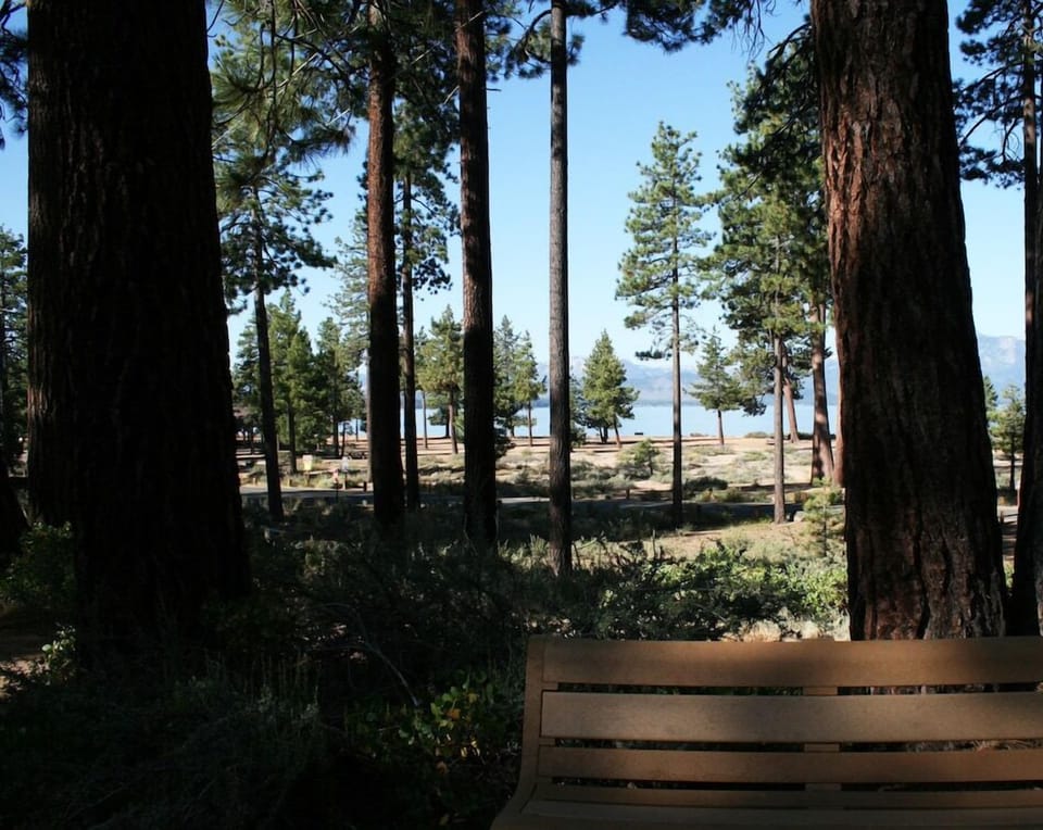 Nevada Beach