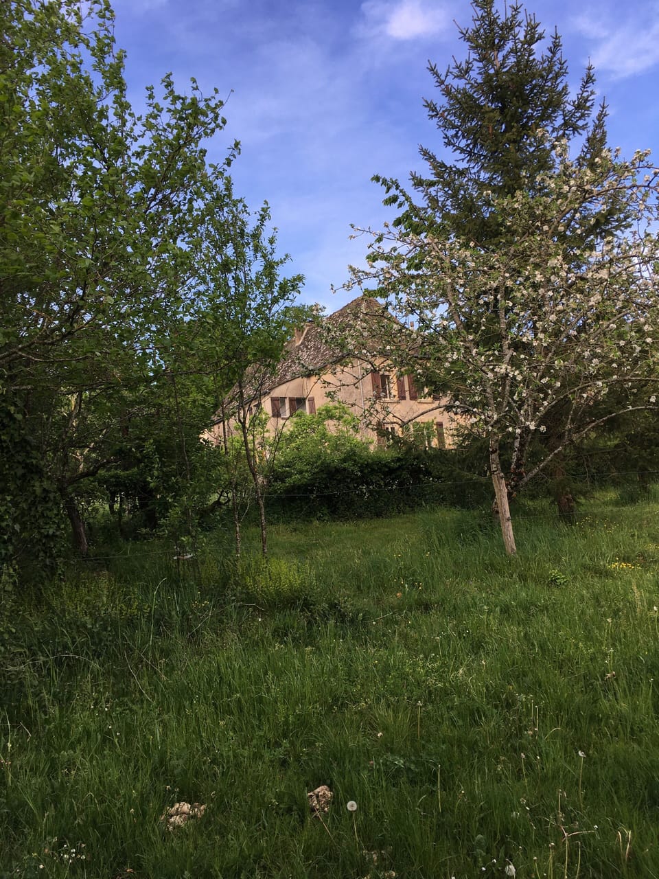 Property grounds
